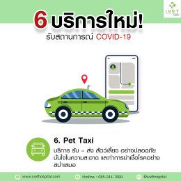 6 บริการใหม่ ยกระดับคุณภาพ เพิ่มความประทับใจ ปลอดภัยจาก COVID-19